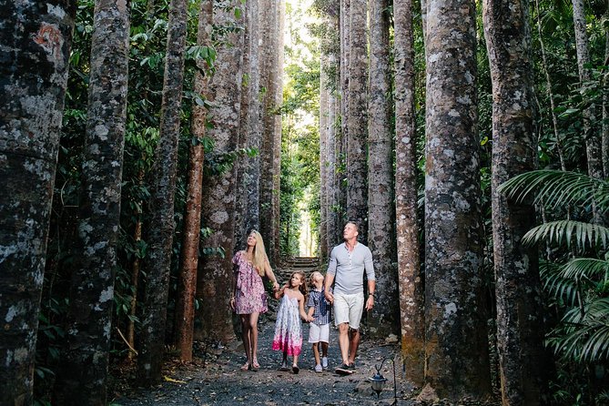 Day Tour to Paronella Park, Lake Barrine and Millaa Millaa Falls - Why this Atherton Tablelands tour works
