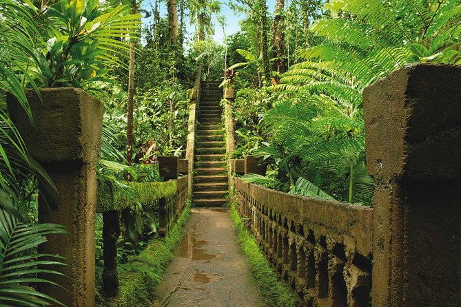 Day Tour to Paronella Park, Lake Barrine and Millaa Millaa Falls - Country towns and a proper lunch break