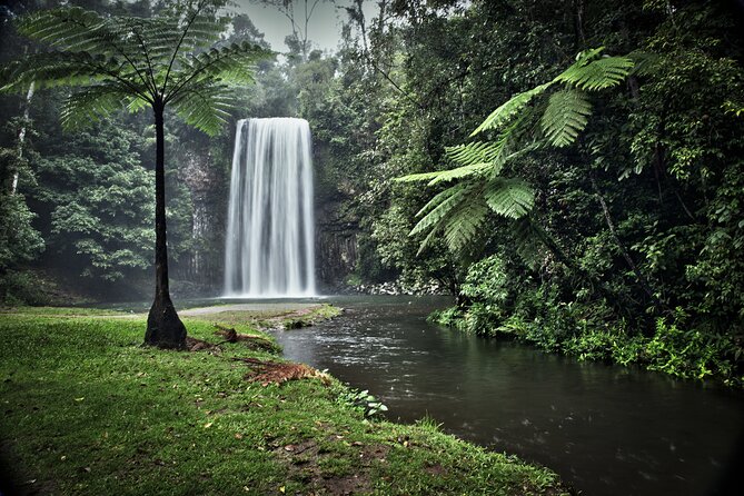 Day Tour to Paronella Park, Lake Barrine and Millaa Millaa Falls - What the guides add to the day