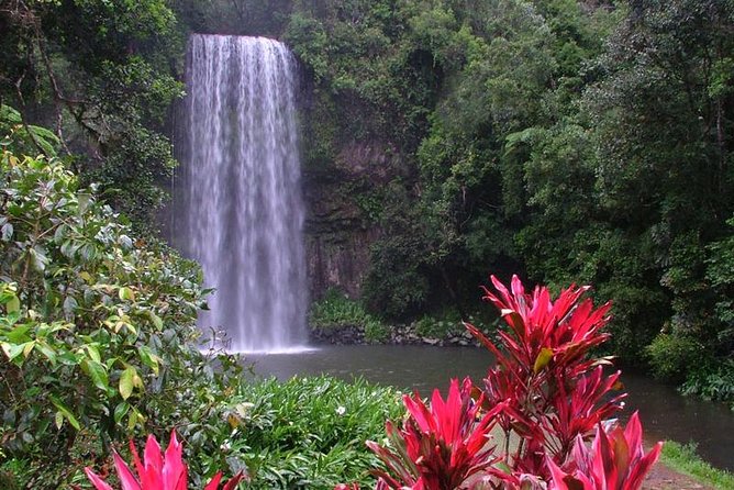 Day Tour to Paronella Park, Lake Barrine and Millaa Millaa Falls - Walsh’s Pyramid and the road into the highlands