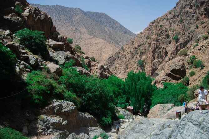 Day trip - Atlas Mountains Ourika Valley Waterfall From Marrakech - Who Will Enjoy This Day Trip