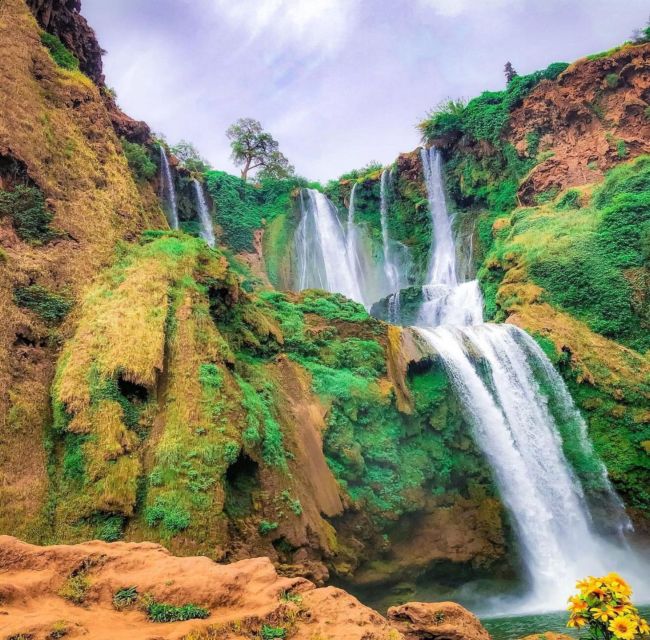 Day trip from Marrakech to Ouzoud Waterfalls - The driver, guide, and practical comfort