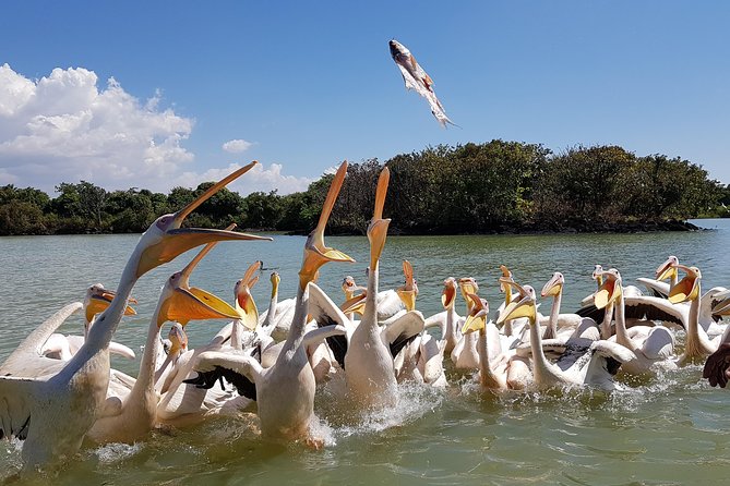 Day trip on Bahir dar. To visit lake tana monasteries and Blue Nile Falls. - Key points before you book