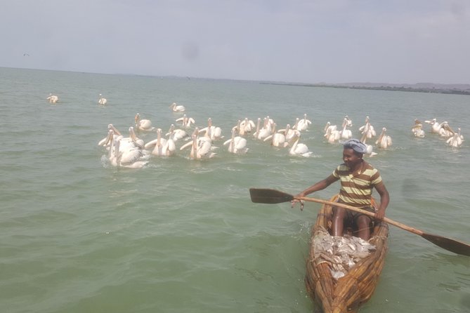 Day trip on Bahir dar. To visit lake tana monasteries and Blue Nile Falls. - Bahir Dar Market and the first look at local life