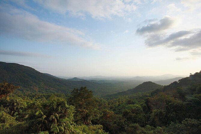 Day Trip to Mollem National Park Including Dudhsagar Falls and Jeep Safari from Goa - The Climb Above the Falls