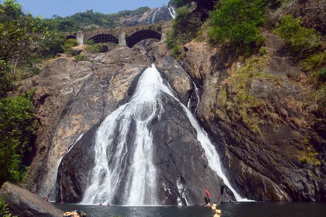 Day Trip to Mollem National Park Including Dudhsagar Falls and Jeep Safari from Goa - Sahakari Spice Farm: More Than a Tasting Stop