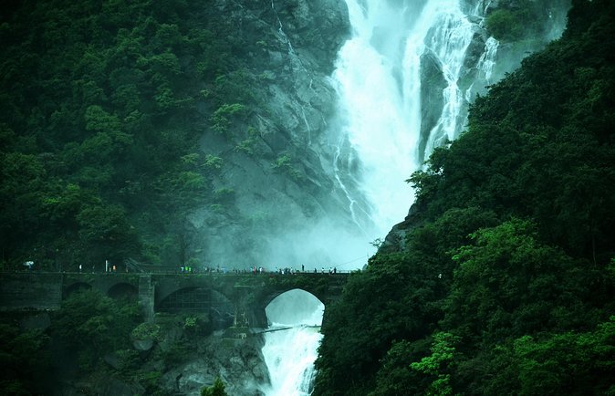 Day Trip to Mollem National Park Including Dudhsagar Falls and Jeep Safari from Goa - Guide Quality and Personal Attention