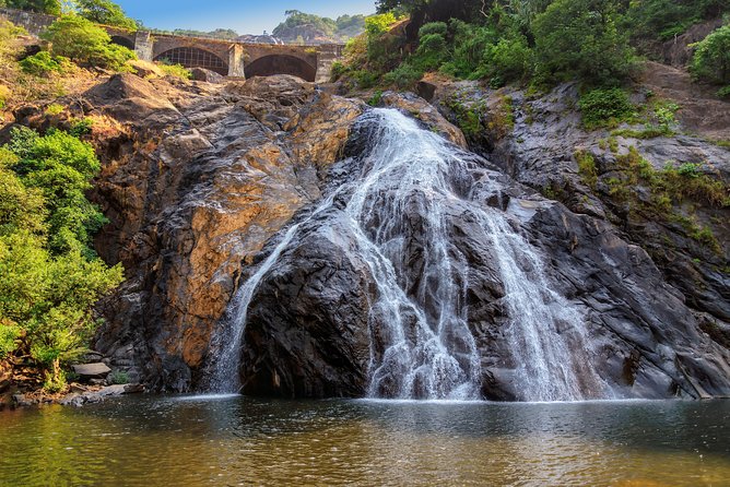 Day Trip to Mollem National Park Including Dudhsagar Falls and Jeep Safari from Goa - Is the $203 Price Fair?