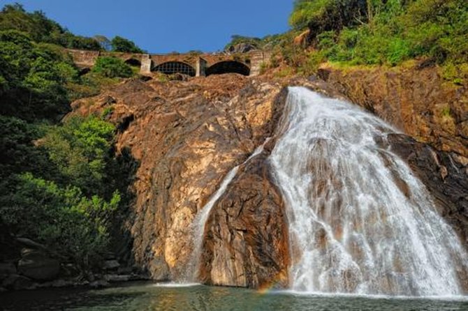Day Trip to Mollem National Park Including Dudhsagar Falls and Jeep Safari from Goa - What the Shared Jeep Ride Is Really Like