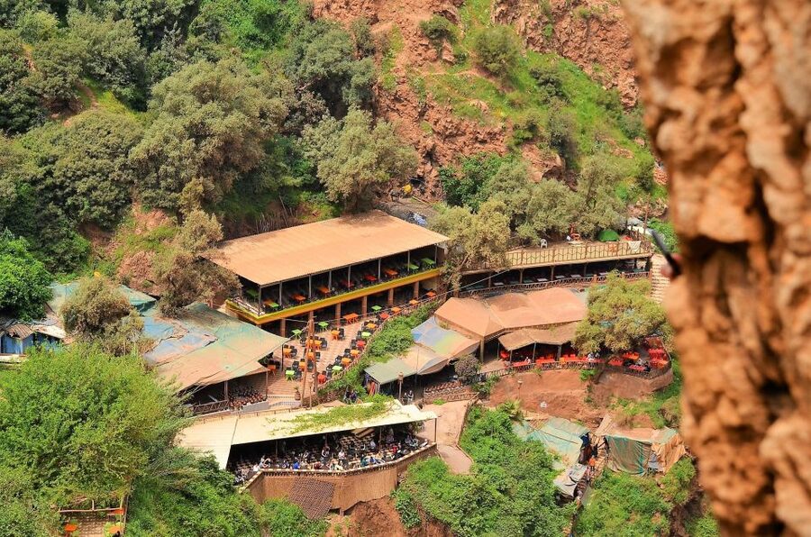 Day Trip To Ouzoud Waterfalls & Boat Ride From Marrakech - Barbary macaques beside the trail