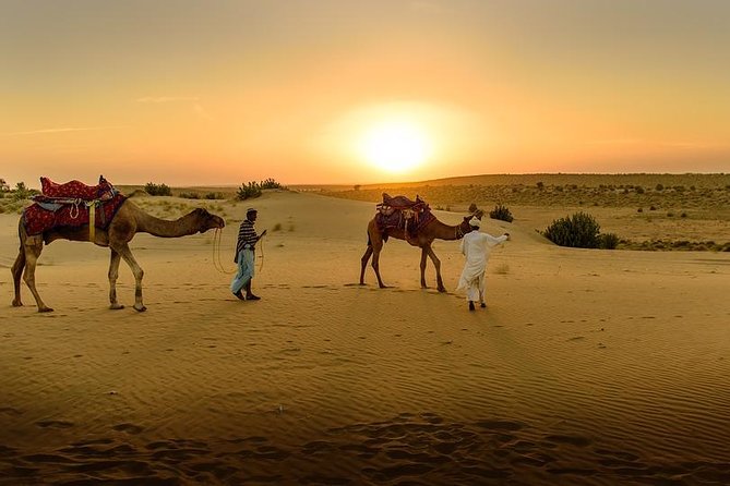 Desert Agafay & Atlas Mountains, Valleys & Waterfalls Tour from Marrakech - Argan oil and women’s cooperative
