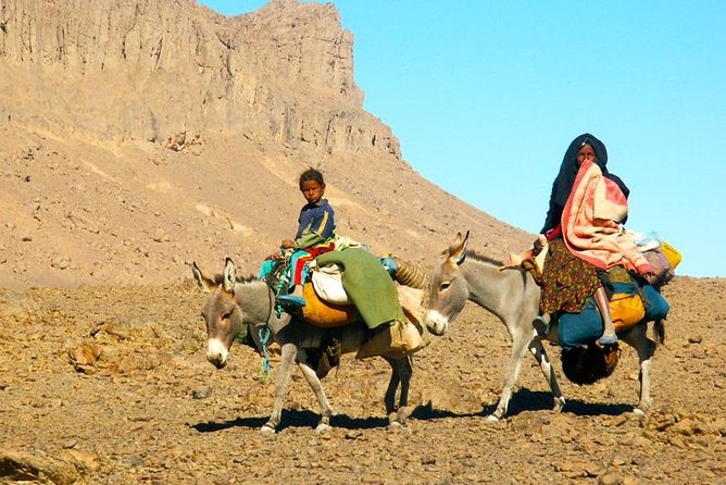 Desert Agafay & Atlas Mountains, Valleys & Waterfalls Tour from Marrakech - The Imlil waterfall hike