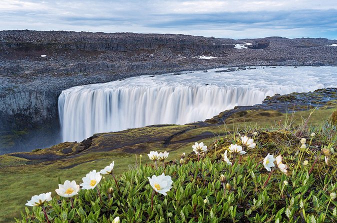 Dettifoss and Goðafoss Waterfall Small Group from Akureyri Port - Who should choose this North Iceland outing?