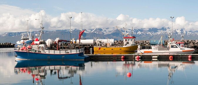 Diamond Circle Myvatn Waterfalls, and Husavik from Akureyri Tour - Key points to know before booking