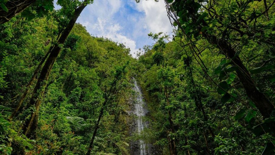 Diamond Head Manoa Falls - Why pairing Diamond Head with Manoa Falls works