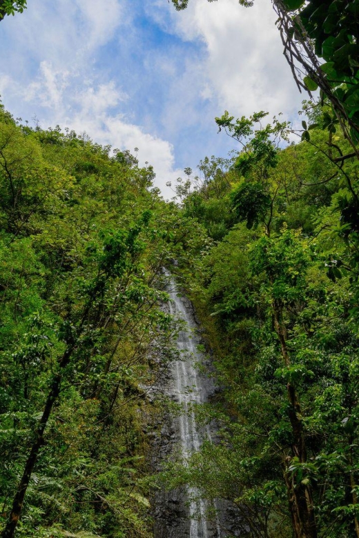 Diamond Head Manoa Falls - Practical tips before you go
