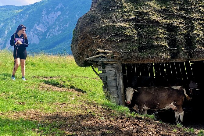 Discover Apuseni Mountains - Scarita Summit,Sipote Waterfall and Dumesti Village - Scarita Summit at 1,384 meters