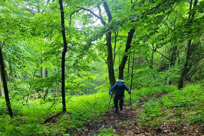 Discover Apuseni Mountains - Scarita Summit,Sipote Waterfall and Dumesti Village - A plant and fungi walk, not just a summit push