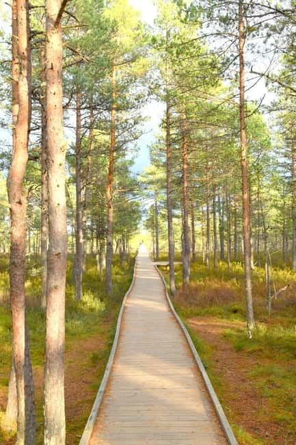 Discover Estonia–tour to Lahemaa with waterfalls and nature. - What the guide adds to a small-group outing