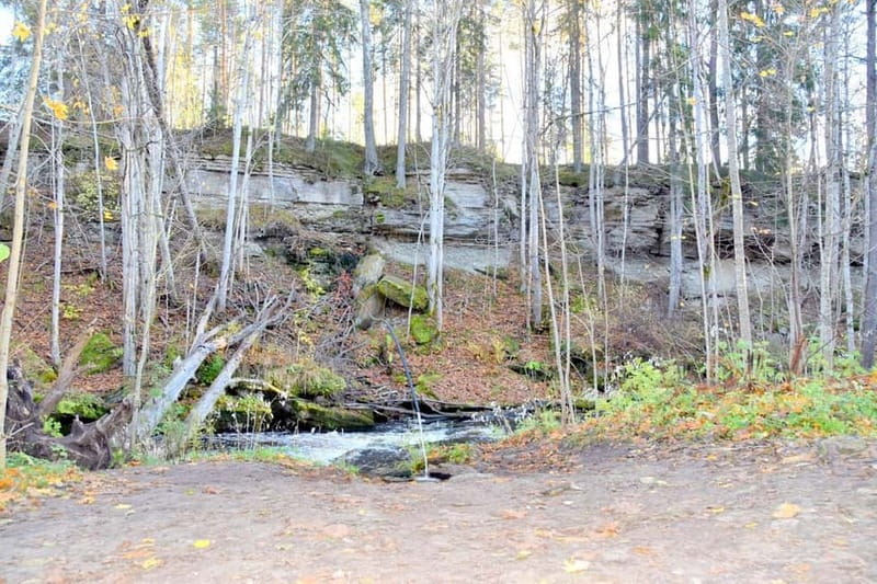Discover Estonia–tour to Lahemaa with waterfalls and nature. - Is $188 good value for five hours?