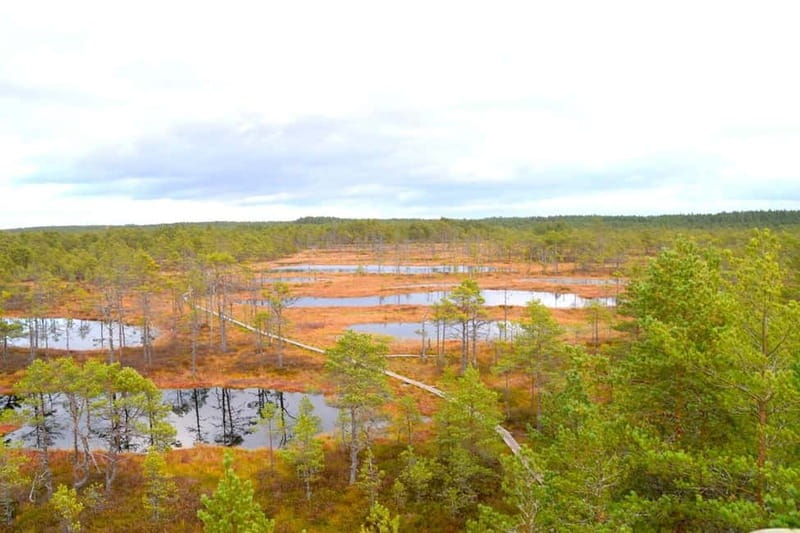 Discover Estonia–tour to Lahemaa with waterfalls and nature. - Who will enjoy this tour most?