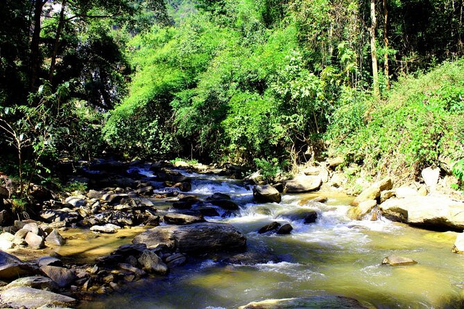 Doi Inthanon National Park, Waterfall & Royal Project Day Tour From Chiang Mai - The Hmong and Karen village stop