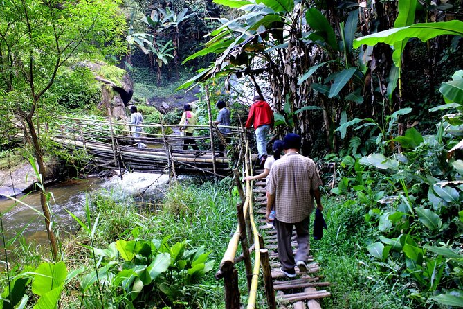 Doi Inthanon National Park, Waterfall & Royal Project Day Tour From Chiang Mai - Is the $31.75 price good value?