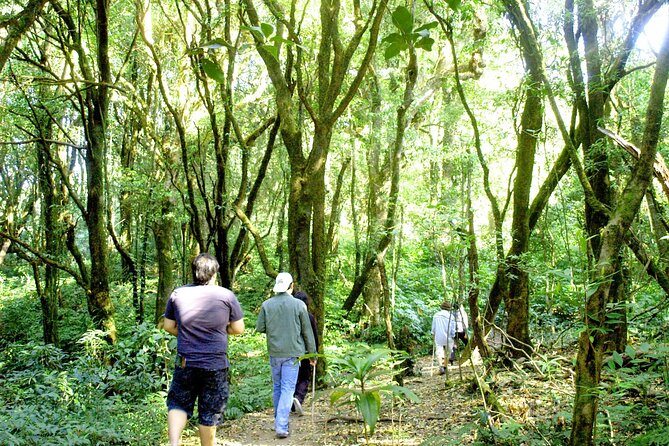 Doi Inthanon National Park, Waterfall & Royal Project Day Tour From Chiang Mai - Starting with the waterfalls at Doi Inthanon