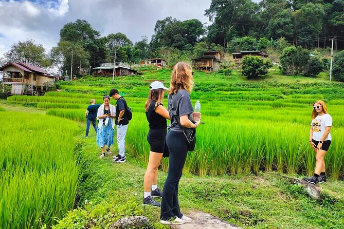 Doi Inthanon Waterfall and Royal Project Chiang Mai - The Hmong market and Royal Project goods