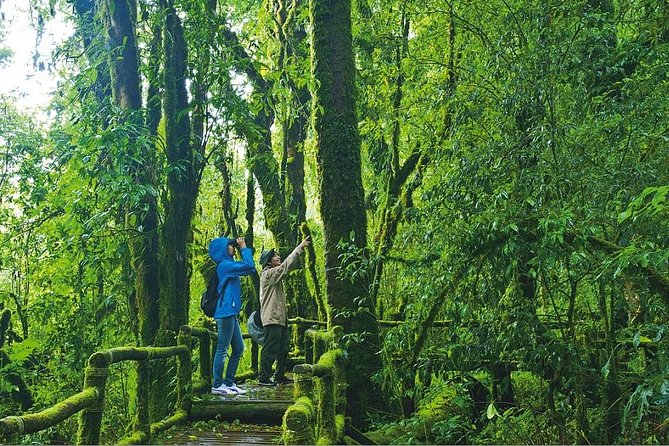 Doi Inthanon Waterfall and Royal Project Chiang Mai - Ang Ka Nature Trail: short walk or longer trek