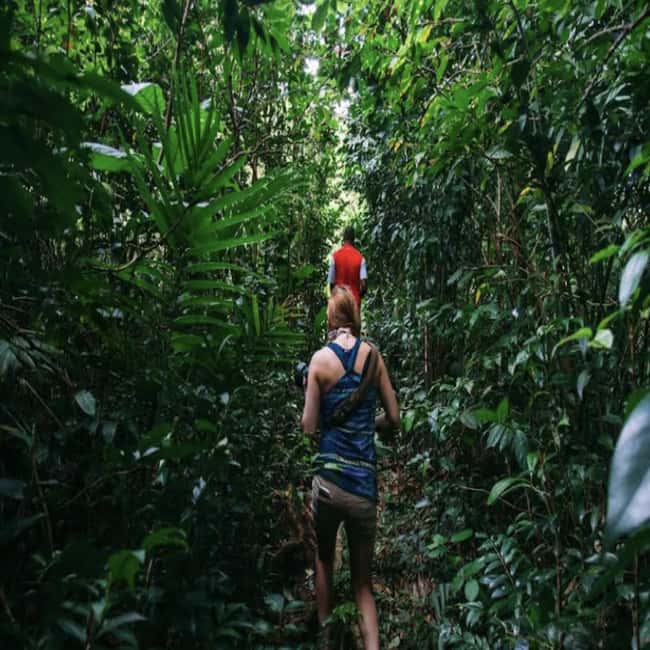 Dominica Hot Springs Waterfalls and Titou Gorge Treasures - Wotten Waven and the mineral pools
