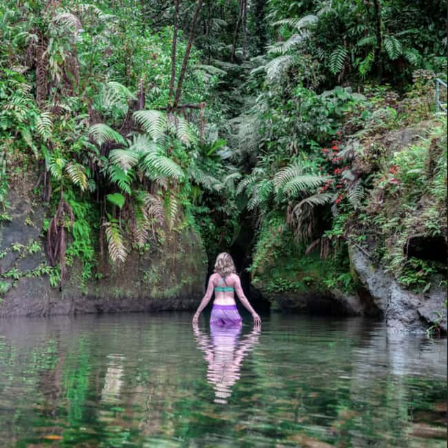 Dominica Hot Springs Waterfalls and Titou Gorge Treasures - The 45-minute ride from Roseau