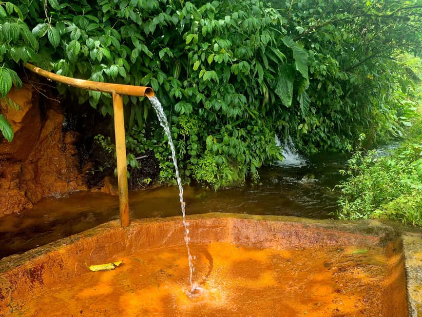 Dominica: Middleham Falls, Titou Gorge, and Trafalgar Falls… - Why this six-hour route works