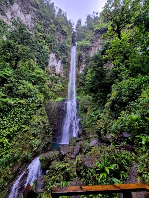 Dominica: Middleham Falls, Titou Gorge, and Trafalgar Falls… - Titou Gorge: a cold, memorable swim