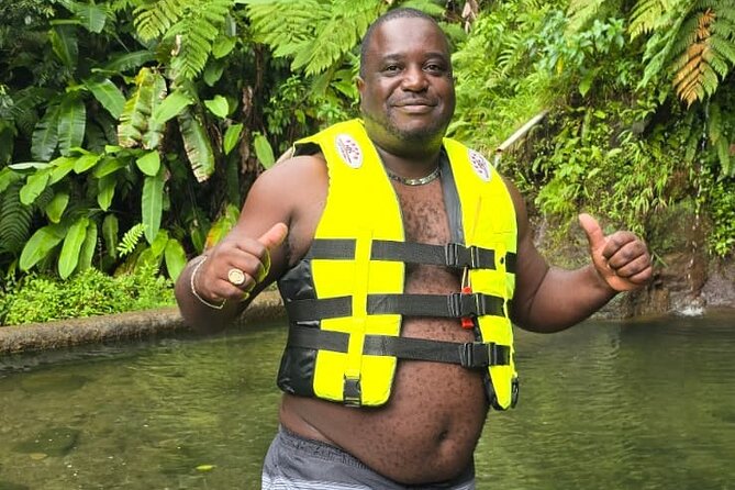 Dominica Waterfalls and Hot Springs Full Day Tour - Transport, timing, and the cruise-port fit