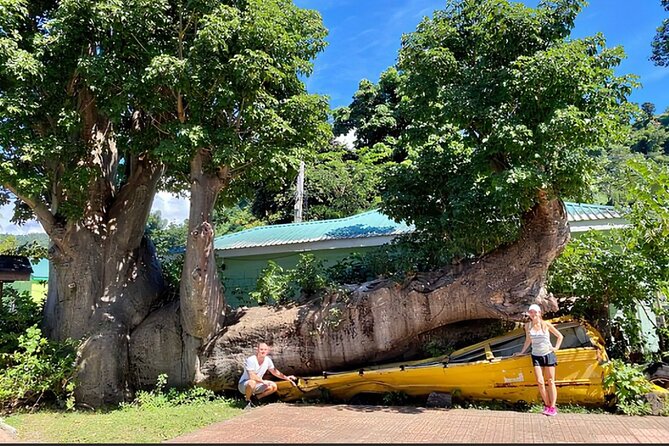 Dominica Waterfalls Chasing Experience - Why This Tour Works for a Cruise Stop