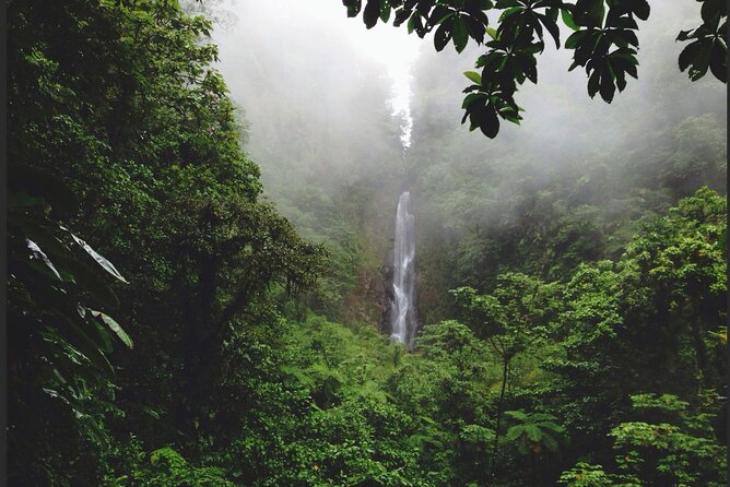 Dominica Waterfalls Chasing Experience - A Short Return Through Roseau
