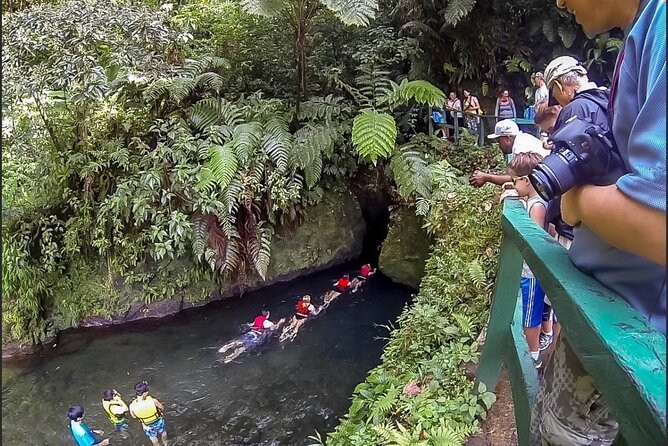 Dominica Waterfalls Chasing Experience - Is $107 a Fair Price?