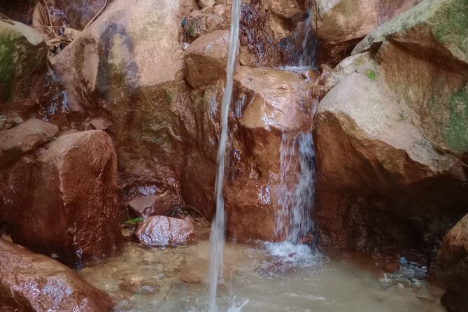 Dominica Waterfalls Full Day Private Expedition @ AUTOP TOURS - What the $130 price really buys