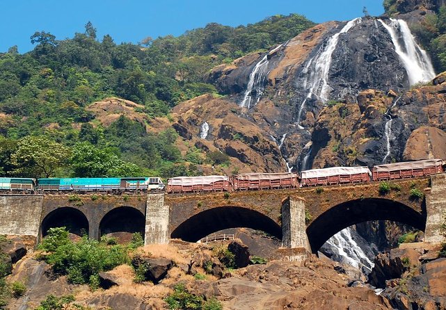 Dudhsagar waterfall wildlife & spice plantation Tour in Goa - Key points at a glance