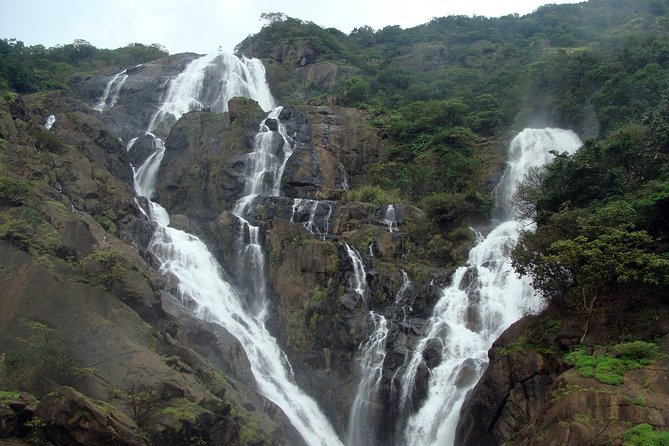 Dudhsagar waterfall wildlife & spice plantation Tour in Goa - Private transport, shared waterfall transfer