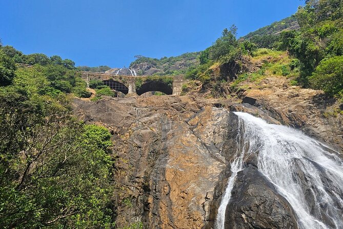Dudhsagar Waterfalls, Jeep Safari & Spice Plantation private tour - Key points to know before booking