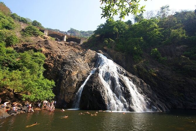 Dudhsagar Waterfalls, Jeep Safari & Spice Plantation private tour - What this Goa day trip is really offering