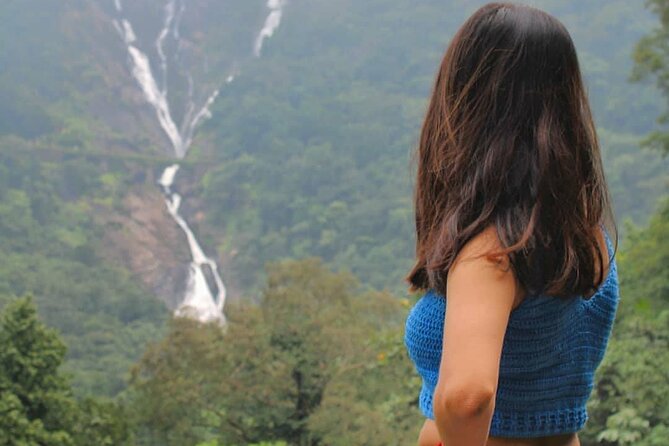 Dudhsagar Waterfalls, Jeep Safari & Spice Plantation private tour - Mollem National Park and its Western Ghats setting