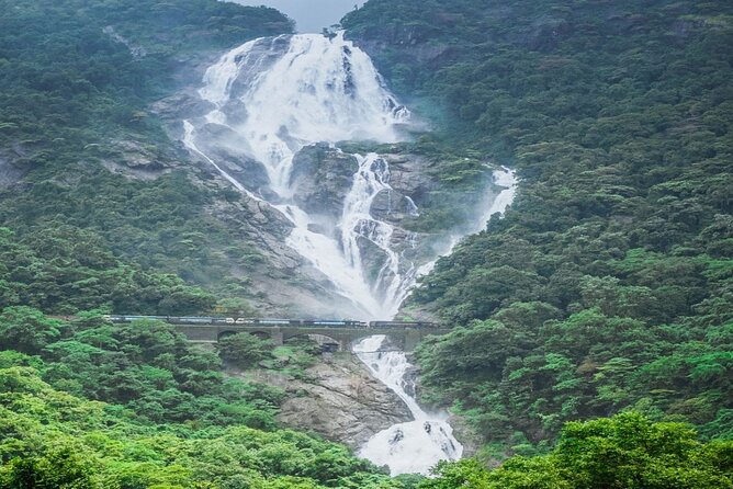 Dudhsagar Waterfalls, Jeep Safari & Spice Plantation private tour - Who should book this private tour?