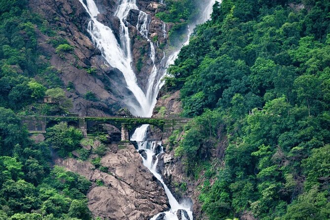 Dudhsagar Waterfalls, Jeep Safari & Spice Plantation private tour - Reaching Dudhsagar Falls by jeep