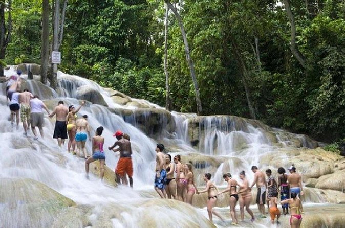 Dunn's River Falls and Horse Back Riding Excursion - Drivers, guides, and the small-group setup
