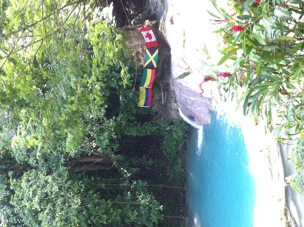 Dunn's River Falls and Jamaica Sightseeing Private Tour - Columbus Park and the north coast view