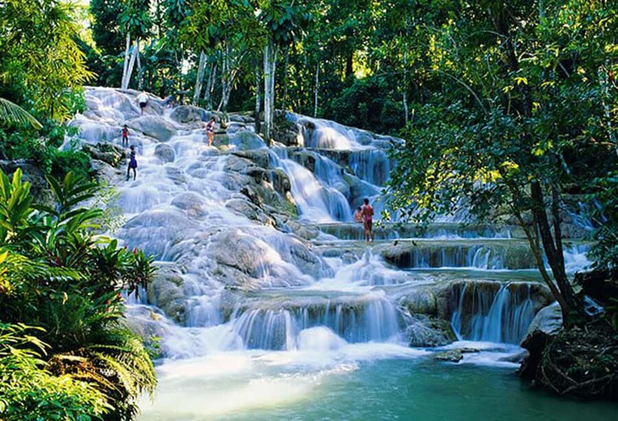 Dunn's River Falls Day Tour - Key points at a glance