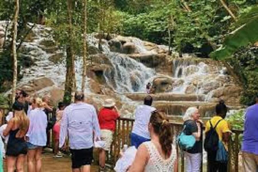 Dunn's River Falls Day Tour - What the driver-guide adds to the experience